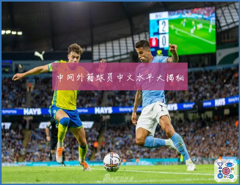 中网外籍球员中文水平大揭秘