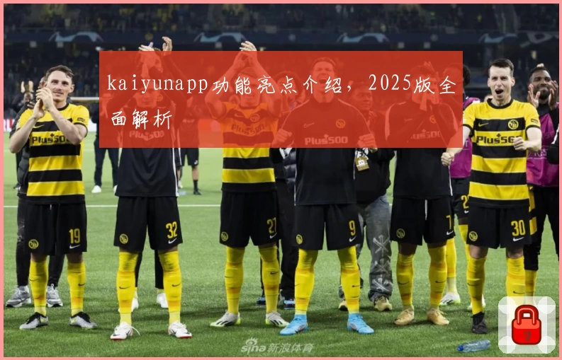 kaiyunapp功能亮点介绍，2025版全面解析