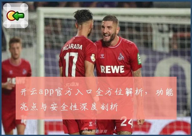 开云app官方入口全方位解析，功能亮点与安全性深度剖析
