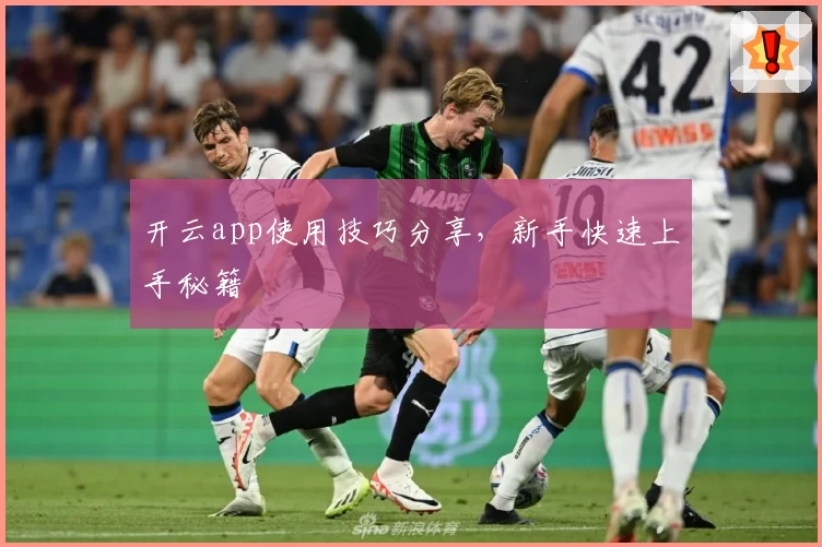 开云app使用技巧分享，新手快速上手秘籍