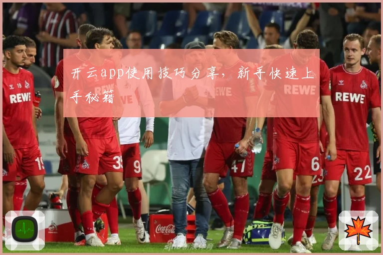 开云app使用技巧分享，新手快速上手秘籍