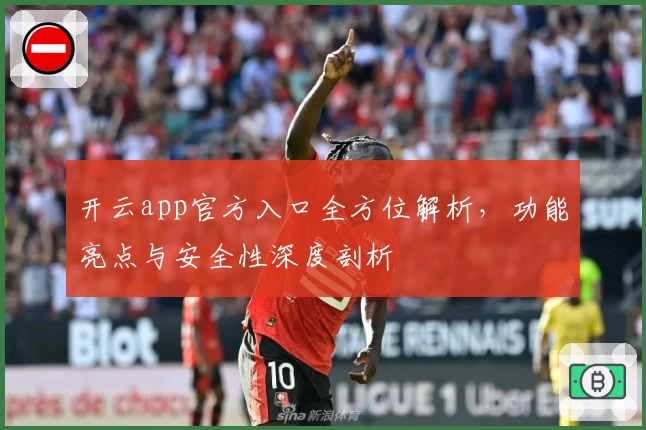 开云app官方入口全方位解析，功能亮点与安全性深度剖析