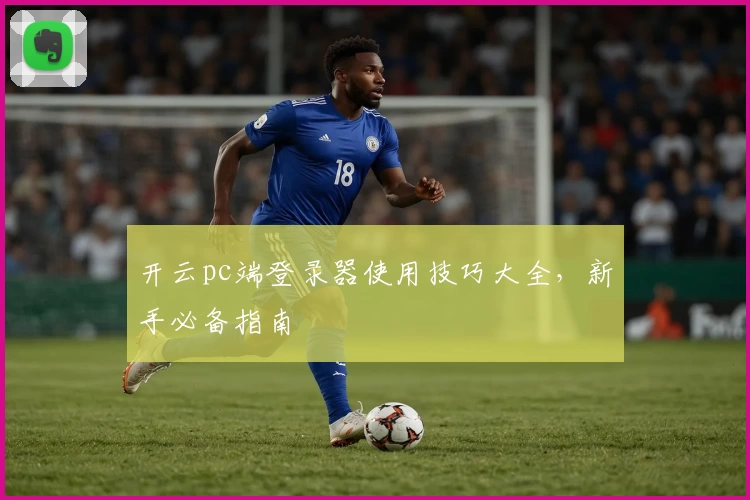 开云pc端登录器使用技巧大全,新手必备指南