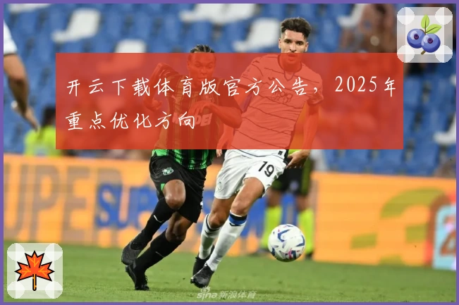开云下载体育版官方公告，2025年重点优化方向